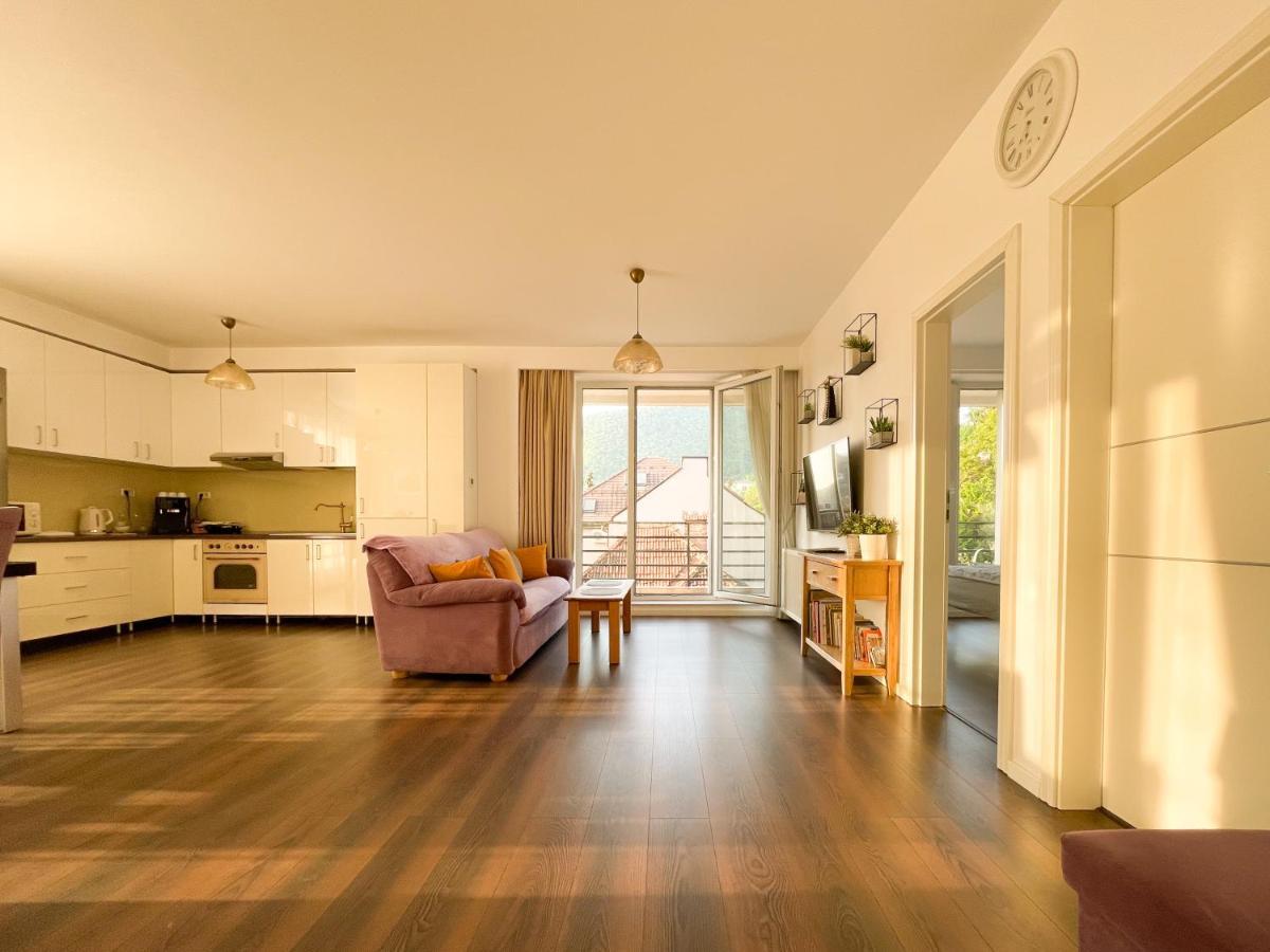 Central Premium Apartment Брашов Экстерьер фото